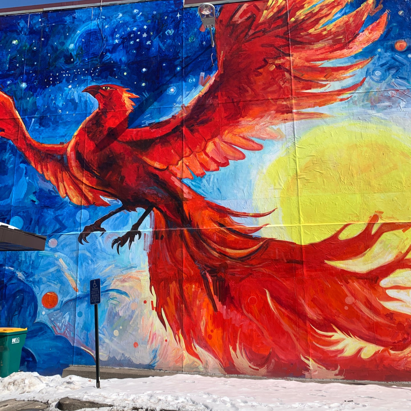 8-Week Transformation Program