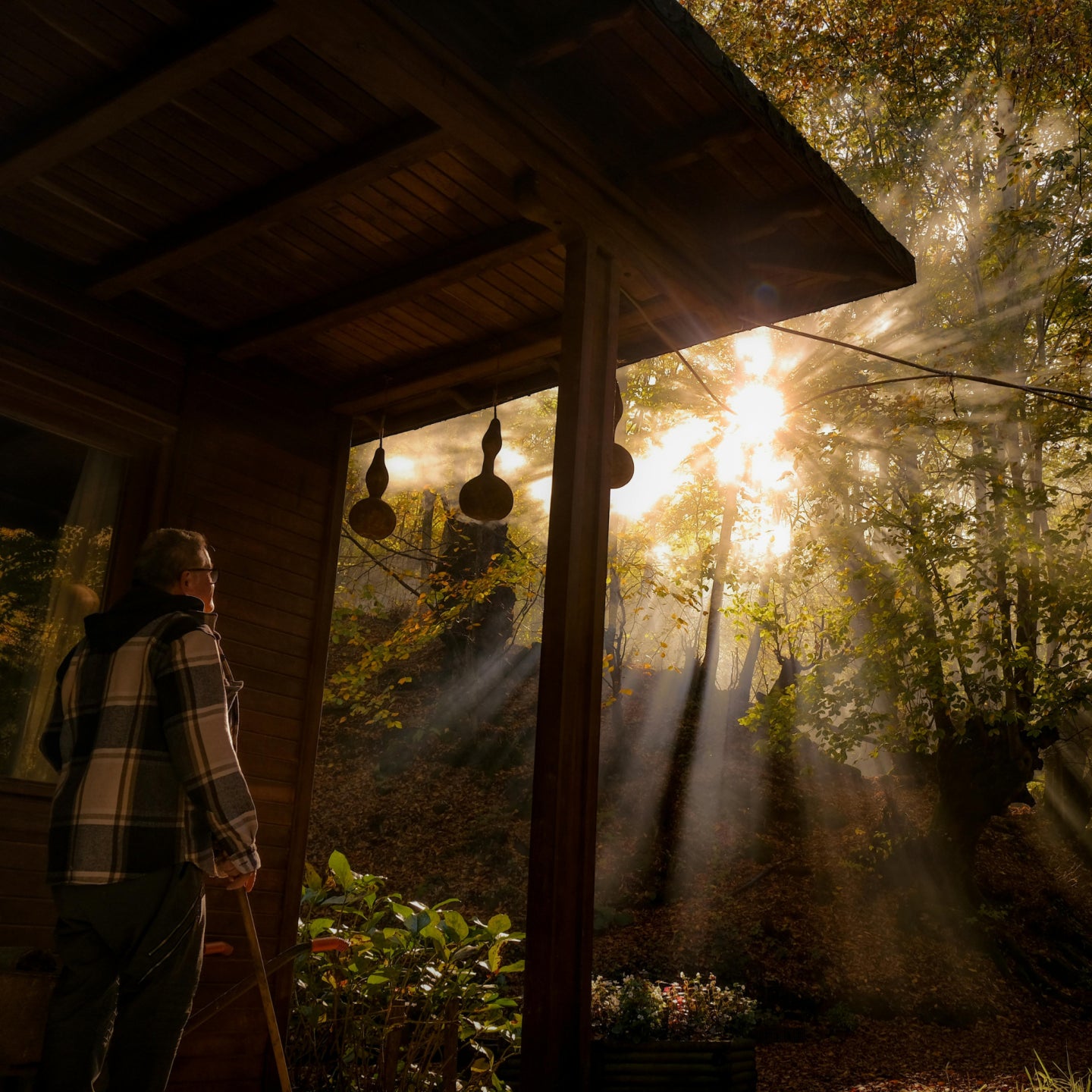 4-Week RESET Program